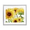 Stupell Industries Peeking Sunflower Blooms Framed Print Under Glass, design by Kim Allen